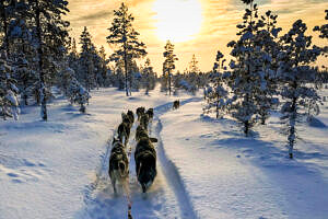 Hundspann-Hudiksvall-Sverige-äventyr-Hälsingland